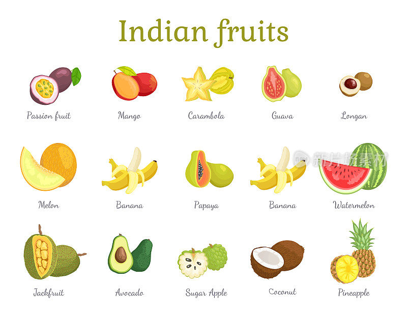 Indian Fruits Set India Food Vector Illustration